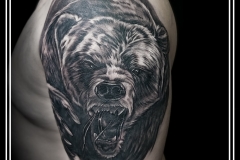 kot-ink.ru kot-ink.ru