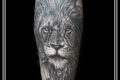 kot-ink.ru kot-ink.ru