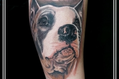 kot-ink.ru kot-ink.ru
