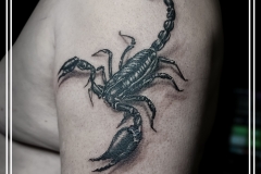 kot-ink.ru kot-ink.ru
