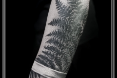 kot-ink.ru kot-ink.ru