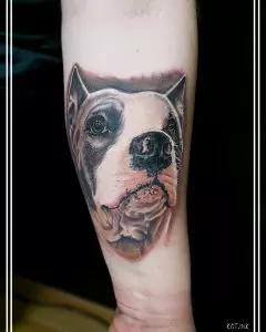 Tattoo +7 (926) 254-72-50 &bull; (12.05.2026) &bull; kot-ink.ru &bull; Тату Мастер - Алексей Кот (tattoo artist) Kot Ink 32 2