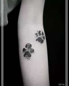 Tattoo +7 (926) 254-72-50 &bull; (03.07.2026) &bull; kot-ink.ru &bull; Тату Мастер - Алексей Кот (tattoo artist) Kot Ink 24