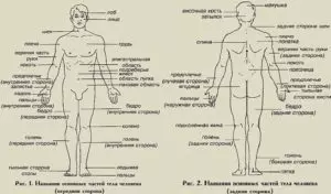 Tattoo +7 (926) 254-72-50 • (30.10.2025) • kot-ink.ru • Тату Мастер - Алексей Кот (tattoo artist) tm800 25