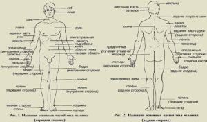 Tattoo +7 (926) 254-72-50 &bull; (12.02.2026) &bull; kot-ink.ru &bull; Тату Мастер - Алексей Кот (tattoo artist) wdjwjn89qQeW3FjKhMXl4kqEPocIJH3UeAwgl3yGOK7yDG0VIOr7Eu9w EeF9Re4f4Q6zQCqvVWhvGV9dw1E1gYW