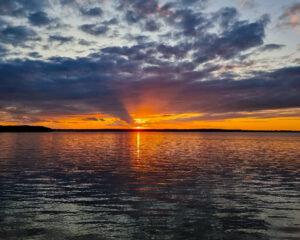 Tattoo +7 (926) 254-72-50 &bull; (04.12.2025) &bull; kot-ink.ru &bull; Тату Мастер - Алексей Кот (tattoo artist) 20230720 20230720 204743