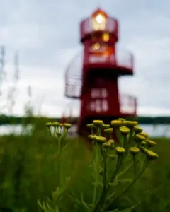 Tattoo +7 (926) 254-72-50 • (30.10.2025) • kot-ink.ru • Тату Мастер - Алексей Кот (tattoo artist) 20230729 20230728 192739