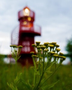 Tattoo +7 (926) 254-72-50 &bull; (04.12.2025) &bull; kot-ink.ru &bull; Тату Мастер - Алексей Кот (tattoo artist) 20230729 20230728 192831