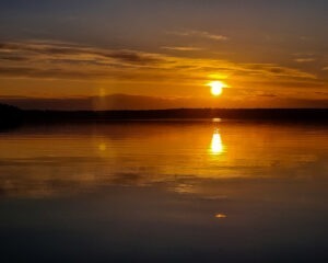 Tattoo +7 (926) 254-72-50 &bull; (04.12.2025) &bull; kot-ink.ru &bull; Тату Мастер - Алексей Кот (tattoo artist) 20230729 20230729 202501