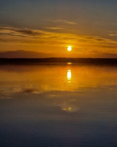 20230729-20230729_202512 • 3 • kot-ink.ru Tattoo +7 (926) 254-72-50 • (04.12.2025) • kot-ink.ru • Тату Мастер - Алексей Кот (tattoo artist) 20230729 20230729 202512