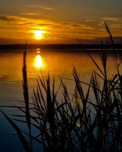 20230729-20230729_202639 • 3 • kot-ink.ru Tattoo +7 (926) 254-72-50 • (30.10.2025) • kot-ink.ru • Тату Мастер - Алексей Кот (tattoo artist) 20230729 20230729 202639