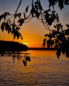 Tattoo +7 (926) 254-72-50 &bull; (13.01.2026) &bull; kot-ink.ru &bull; Тату Мастер - Алексей Кот (tattoo artist) 20230805 20230805 201839