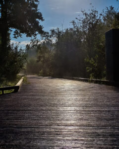 Tattoo +7 (926) 254-72-50 &bull; (11.12.2025) &bull; kot-ink.ru &bull; Тату Мастер - Алексей Кот (tattoo artist) 20230815 20230815 065720