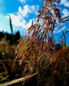 Tattoo +7 (926) 254-72-50 &bull; (04.12.2025) &bull; kot-ink.ru &bull; Тату Мастер - Алексей Кот (tattoo artist) 20230815 20230815 070527