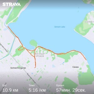 Tattoo +7 (926) 254-72-50 • (30.10.2025) • kot-ink.ru • Тату Мастер - Алексей Кот (tattoo artist) 20230825 strava5709906124470024433