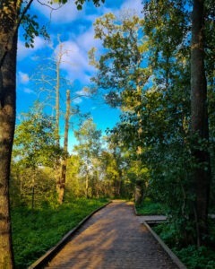 20230916-20230916_171241 • 3 • kot-ink.ru Tattoo +7 (926) 254-72-50 • (04.12.2025) • kot-ink.ru • Тату Мастер - Алексей Кот (tattoo artist) 20230916 20230916 171241