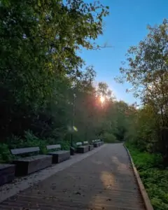 Tattoo +7 (926) 254-72-50 • (30.10.2025) • kot-ink.ru • Тату Мастер - Алексей Кот (tattoo artist) 20230916 20230916 171258