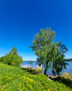 ki-2 • 3 • kot-ink.ru Tattoo +7 (926) 254-72-50 • (30.10.2025) • kot-ink.ru • Тату Мастер - Алексей Кот (tattoo artist) ki 2