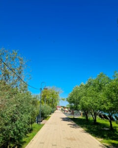 Tattoo +7 (926) 254-72-50 • (06.08.2025) • kot-ink.ru • Тату Мастер - Алексей Кот (tattoo artist) ki 28