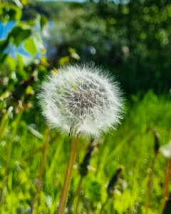 Tattoo +7 (926) 254-72-50 &bull; (13.01.2026) &bull; kot-ink.ru &bull; Тату Мастер - Алексей Кот (tattoo artist) ki 3