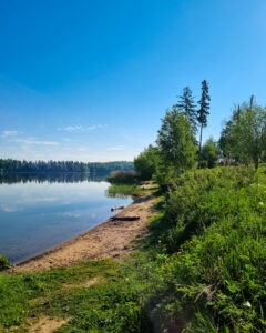 ki-31 • 3 • kot-ink.ru Tattoo +7 (926) 254-72-50 • (04.12.2025) • kot-ink.ru • Тату Мастер - Алексей Кот (tattoo artist) ki 31