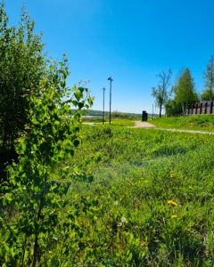 Tattoo +7 (926) 254-72-50 • (01.11.2025) • kot-ink.ru • Тату Мастер - Алексей Кот (tattoo artist) ki 4