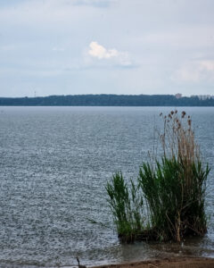 Tattoo +7 (926) 254-72-50 • (04.12.2025) • kot-ink.ru • Тату Мастер - Алексей Кот (tattoo artist) ki 43