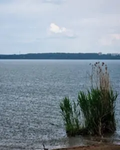 ki-43 • 3 • kot-ink.ru Tattoo +7 (926) 254-72-50 • (30.10.2025) • kot-ink.ru • Тату Мастер - Алексей Кот (tattoo artist) ki 43