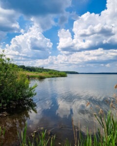 ki-46 • 3 • kot-ink.ru Tattoo +7 (926) 254-72-50 • (04.12.2025) • kot-ink.ru • Тату Мастер - Алексей Кот (tattoo artist) ki 46