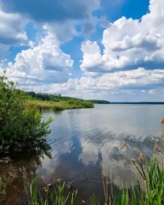 ki-46 • 3 • kot-ink.ru Tattoo +7 (926) 254-72-50 • (30.10.2025) • kot-ink.ru • Тату Мастер - Алексей Кот (tattoo artist) ki 46