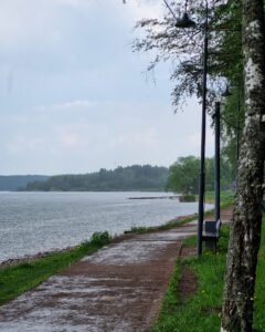 Tattoo +7 (926) 254-72-50 &bull; (11.12.2025) &bull; kot-ink.ru &bull; Тату Мастер - Алексей Кот (tattoo artist) ki 47