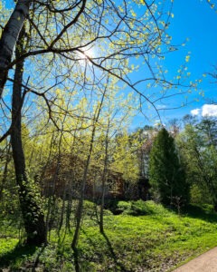 Tattoo +7 (926) 254-72-50 • (14.08.2025) • kot-ink.ru • Тату Мастер - Алексей Кот (tattoo artist) kot 275