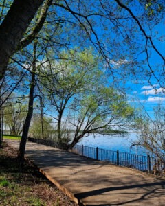 kot--279 • 3 • kot-ink.ru Tattoo +7 (926) 254-72-50 • (04.12.2025) • kot-ink.ru • Тату Мастер - Алексей Кот (tattoo artist) kot 279