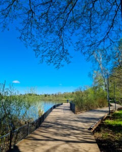 Tattoo +7 (926) 254-72-50 &bull; (11.12.2025) &bull; kot-ink.ru &bull; Тату Мастер - Алексей Кот (tattoo artist) kot 281