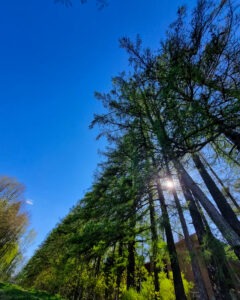 Tattoo +7 (926) 254-72-50 &bull; (11.12.2025) &bull; kot-ink.ru &bull; Тату Мастер - Алексей Кот (tattoo artist) kot 283