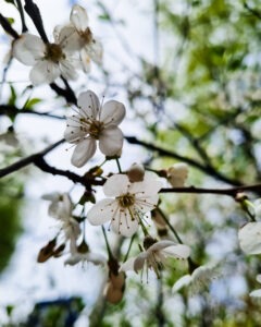 Tattoo +7 (926) 254-72-50 • (04.12.2025) • kot-ink.ru • Тату Мастер - Алексей Кот (tattoo artist) kot 342