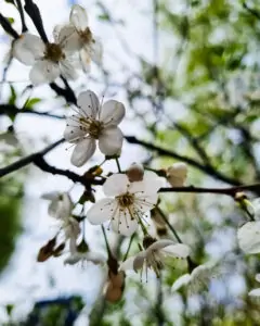 Tattoo +7 (926) 254-72-50 • (30.10.2025) • kot-ink.ru • Тату Мастер - Алексей Кот (tattoo artist) kot 342