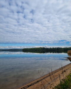 Tattoo +7 (926) 254-72-50 • (01.11.2025) • kot-ink.ru • Тату Мастер - Алексей Кот (tattoo artist) kot 343