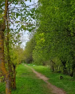 kot--344 • 3 • kot-ink.ru Tattoo +7 (926) 254-72-50 • (30.10.2025) • kot-ink.ru • Тату Мастер - Алексей Кот (tattoo artist) kot 344