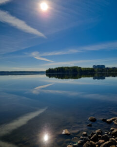 Tattoo +7 (926) 254-72-50 &bull; (13.01.2026) &bull; kot-ink.ru &bull; Тату Мастер - Алексей Кот (tattoo artist) kot 356