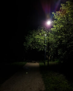 kot--384 • 3 • kot-ink.ru Tattoo +7 (926) 254-72-50 • (04.12.2025) • kot-ink.ru • Тату Мастер - Алексей Кот (tattoo artist) kot 384