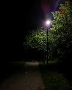 kot--384 • 3 • kot-ink.ru Tattoo +7 (926) 254-72-50 • (30.10.2025) • kot-ink.ru • Тату Мастер - Алексей Кот (tattoo artist) kot 384