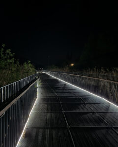 kot--385 • 3 • kot-ink.ru Tattoo +7 (926) 254-72-50 • (04.12.2025) • kot-ink.ru • Тату Мастер - Алексей Кот (tattoo artist) kot 385