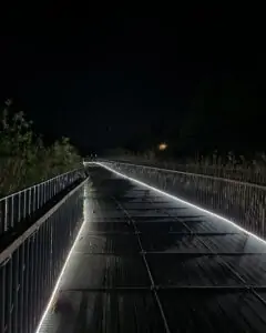 kot--385 • 3 • kot-ink.ru Tattoo +7 (926) 254-72-50 • (30.10.2025) • kot-ink.ru • Тату Мастер - Алексей Кот (tattoo artist) kot 385