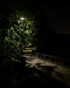 Tattoo +7 (926) 254-72-50 &bull; (13.01.2026) &bull; kot-ink.ru &bull; Тату Мастер - Алексей Кот (tattoo artist) kot 387