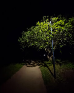 kot--388 • 3 • kot-ink.ru Tattoo +7 (926) 254-72-50 • (04.12.2025) • kot-ink.ru • Тату Мастер - Алексей Кот (tattoo artist) kot 388