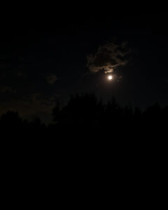 Tattoo +7 (926) 254-72-50 • (31.10.2025) • kot-ink.ru • Тату Мастер - Алексей Кот (tattoo artist) kot 393