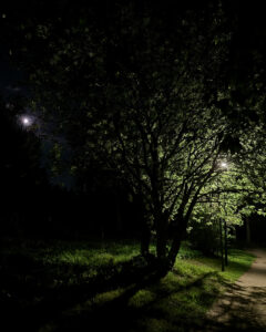 Tattoo +7 (926) 254-72-50 • (31.10.2025) • kot-ink.ru • Тату Мастер - Алексей Кот (tattoo artist) kot 394