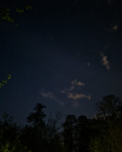 Tattoo +7 (926) 254-72-50 &bull; (04.12.2025) &bull; kot-ink.ru &bull; Тату Мастер - Алексей Кот (tattoo artist) kot 395