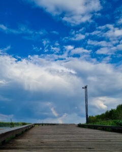 kot--397 • 3 • kot-ink.ru Tattoo +7 (926) 254-72-50 • (04.12.2025) • kot-ink.ru • Тату Мастер - Алексей Кот (tattoo artist) kot 397